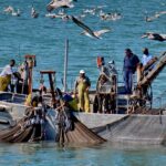 Industrial Photography, Commercial Fisherman in the Gulf